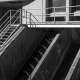 _MG_9353_bn